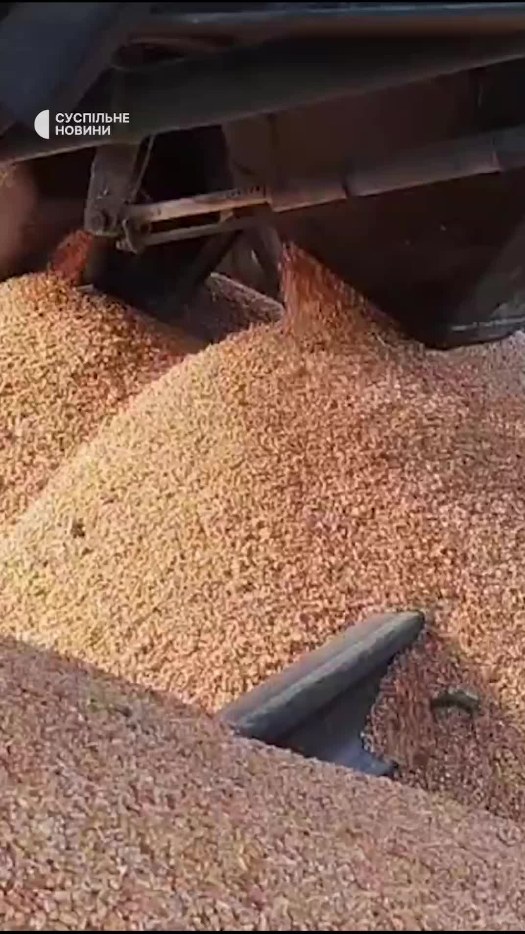 Polish protesters at the border with Ukraine shutdown the railway border crossing and spilled the grain from the freight car